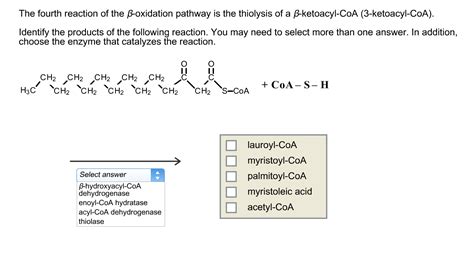 Solved The fourth reaction of the beta .